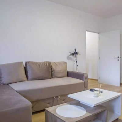 Long-term rental in Belgrade: 2-room apartment, 50 m², near the city center with balcony and appliances