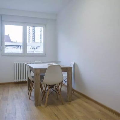 Long-term rental in Belgrade: 2-room apartment, 50 m², near the city center with balcony and appliances