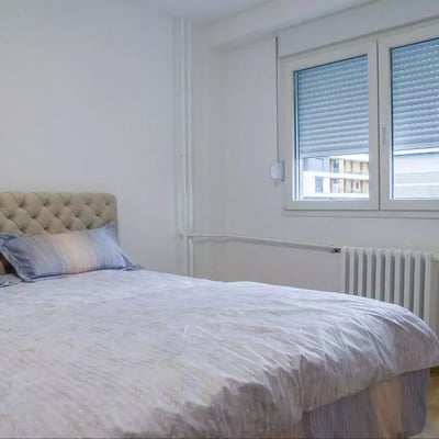 Long-term rental in Belgrade: 2-room apartment, 50 m², near the city center with balcony and appliances