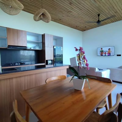 Long-term rental in Bali brand-new villa in Peliatan with pool and rice field view