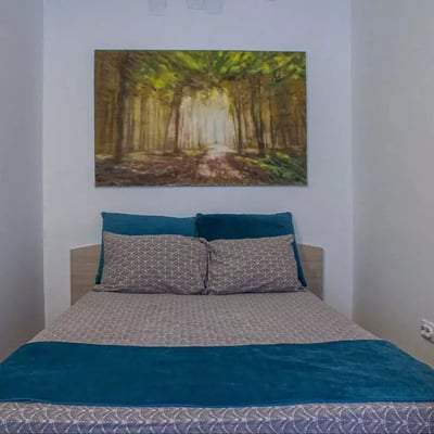 Long-term rental in Belgrade — 50 m² two-room apartment in the city center, with air conditioning and pet-friendly