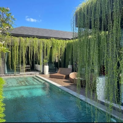 Long-term rental of a brand-new villa with rice field view in Batuan area, Ubud