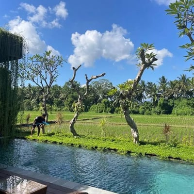 Long-term rental of a brand-new villa with rice field view in Batuan area, Ubud