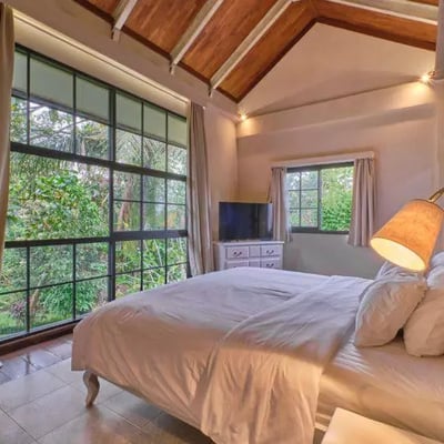 Long-term rent — spacious villa with rice field views, Singakerta, Ubud