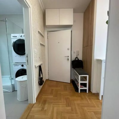 Long-term rental of a 3-room apartment, 60 m² in Belgrade, Serbia