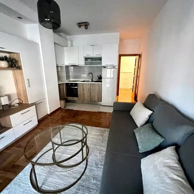 Long-term rental of a 2-room apartment 43m² in Belgrade, Serbia