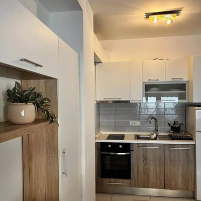 Long-term rental of a 2-room apartment 43m² in Belgrade, Serbia