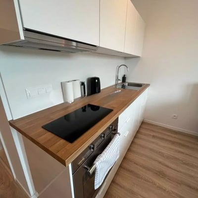 Langfristige Miete 1-Zimmer-Wohnung im Neubau Ovocné Sady, Ružinov, Bratislava, Slowakei