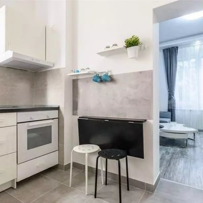 Alquiler a largo plazo de piso de 2 habitaciones, 47 m², en el centro, Belgrado, Serbia