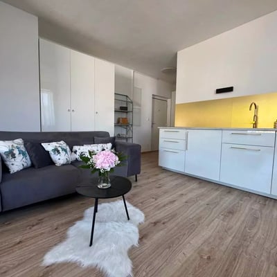 Langfristige Miete einer 1-Zimmer-Wohnung 38 m² im Stadtteil Nové Mesto, Bratislava, Slowakei