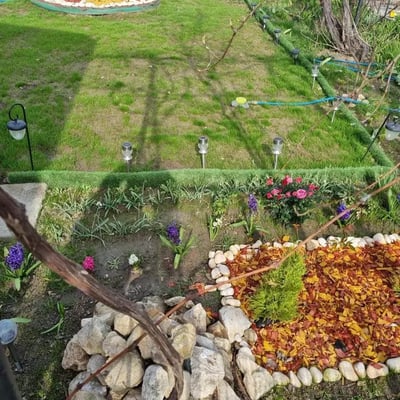 Long-term rental: 1-room house 30 m² in Faleza Nord district, Constanța, Romania