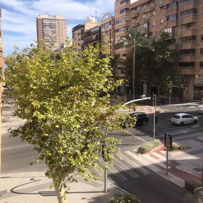 Alquiler a largo plazo: departamento de 2 dormitorios 93 m² en Alicante, España
