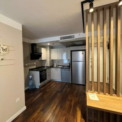 Long-term rental of a 1-bedroom apartment in Istanbul, Turkey