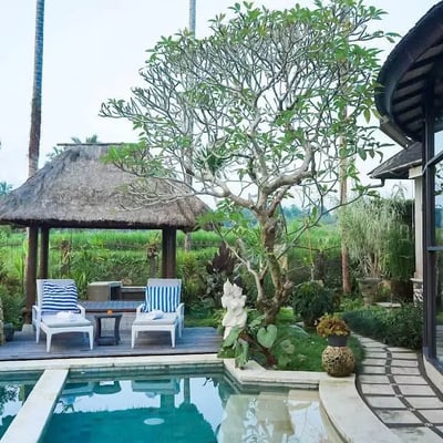 Long-term rental of a 2-bedroom villa in Tegallalang district, Ubud, Indonesia