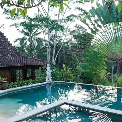 Long-term rental of a 2-bedroom villa in Tegallalang district, Ubud, Indonesia