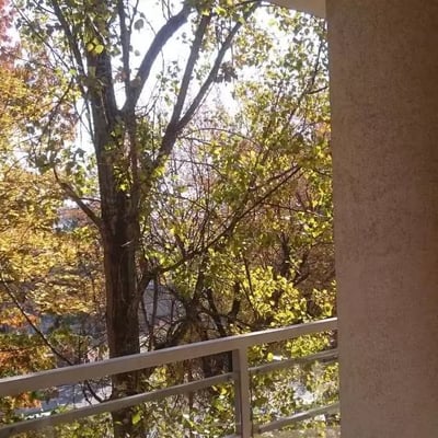 Alquiler a largo plazo de un piso de 2 habitaciones, 60 m², en el distrito Krowodrza, Cracovia, Polonia