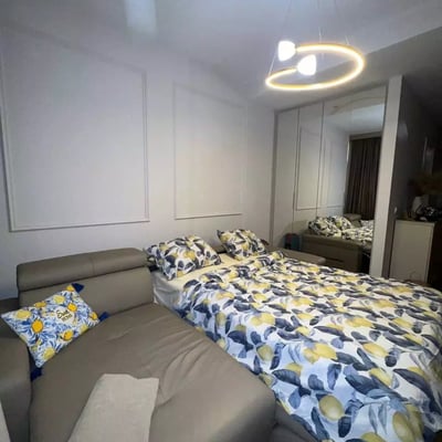 Long-term rental of a studio apartment, 32 m², Belgrade, Serbia