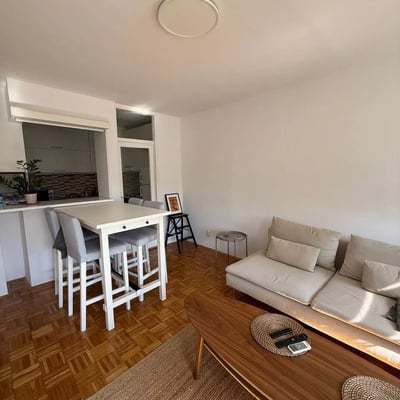 Langzeitmiete einer 2-Zimmer-Wohnung, 45 m², im Stadtzentrum, Belgrad, Serbien