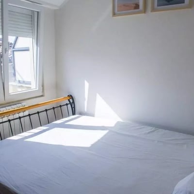 Долгосрочная аренда 2-комнатной квартиры, 37 м², в центре, Белград, Сербия