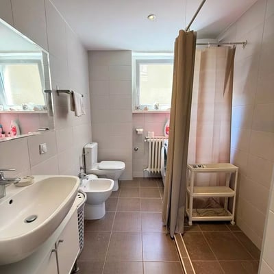 Langzeitmiete einer 2-Zimmer-Wohnung, 60 m², im Stadtzentrum, Belgrad, Serbien