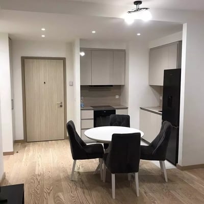 Long-term rental of a 2-room apartment, 55 m², Belgrade, Serbia