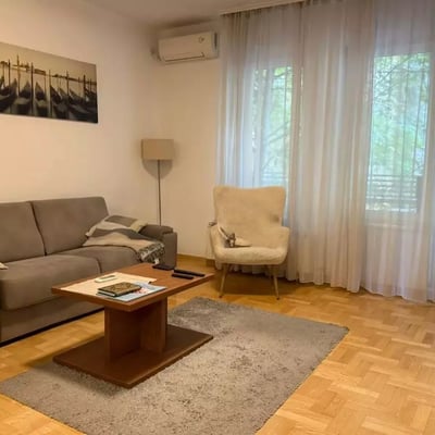 Long-term rental of a 2-room apartment, 48 m², Vračar, Belgrade, Serbia