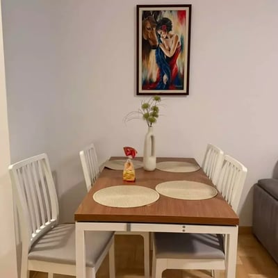 Long-term rental of a 2-room apartment, 48 m², Vračar, Belgrade, Serbia