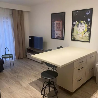 Miete eines gemütlichen Studio-Apartments, 30 m², Vračar, Belgrad, Serbien