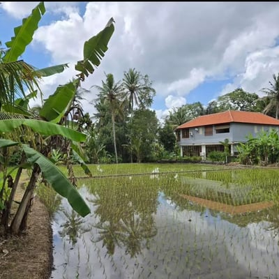 Miete einer Designer-Villa mit Dschungelblick, Lodtunduh, Ubud, Bali, Indonesien