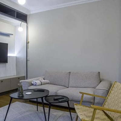 Rent of a two-room apartment in a new building, 47 m², Belgrade, Vračar, Serbia
