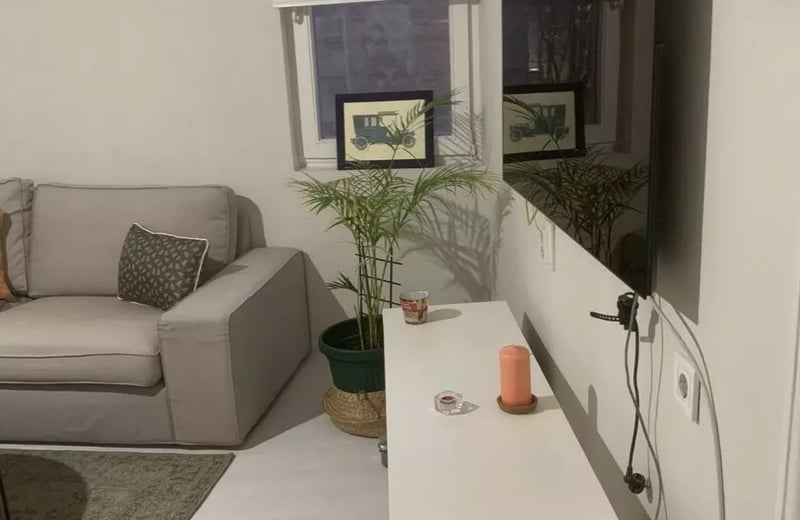 Long-term rental of a spacious apartment in Dorćol, Belgrade, near Kalemegdan