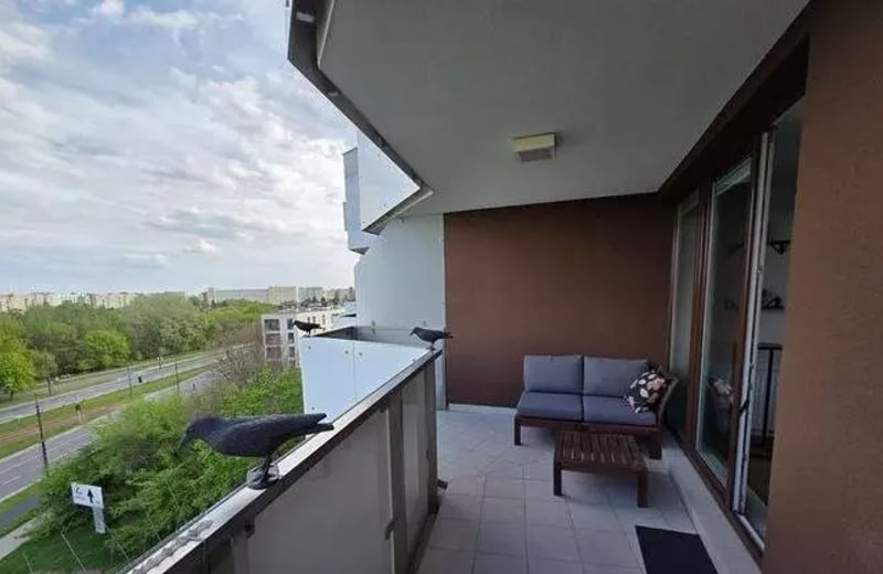 Long-term rental spacious 2-room apartment with terrace in Mokotów district, Warsaw, Poland