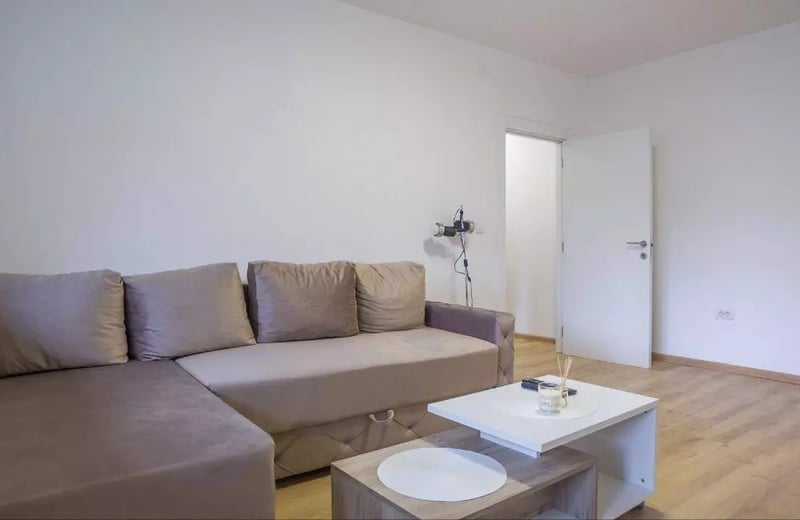 Long-term rental in Belgrade: 2-room apartment, 50 m², near the city center with balcony and appliances