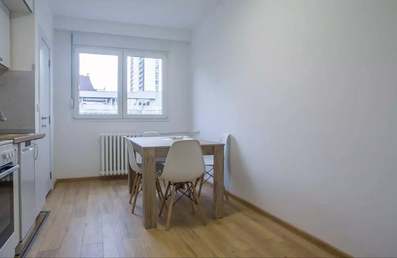 Long-term rental in Belgrade: 2-room apartment, 50 m², near the city center with balcony and appliances