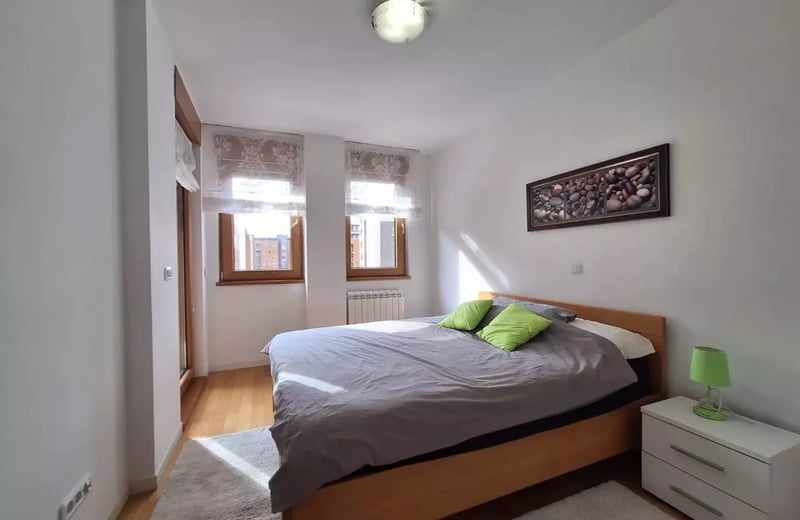 Long-term rental of a 2-room apartment, 55 m² in Belgrade, Serbia