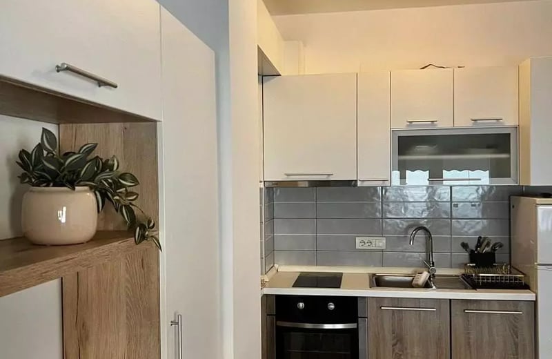 Location longue durée d’un appartement 2 pièces de 43m² à Belgrade, Serbie
