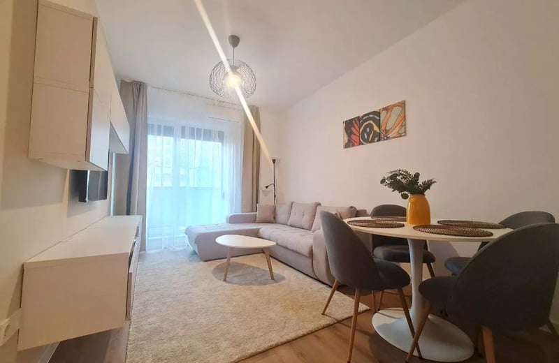 Долгосрочная аренда 2-комнатной квартиры 45 м² в Брашове, Румыния