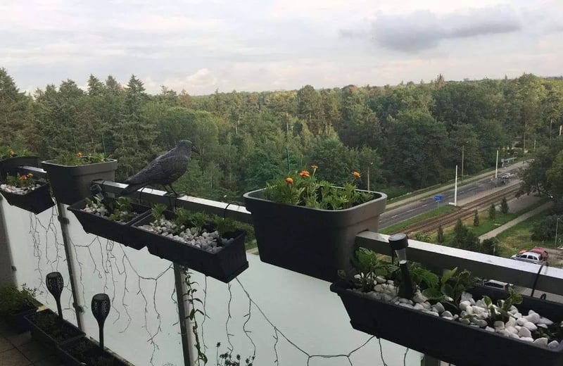 Alquiler a largo plazo apartamento de 3 habitaciones, 63 m², distrito Grabiszyn, Breslavia, Polonia