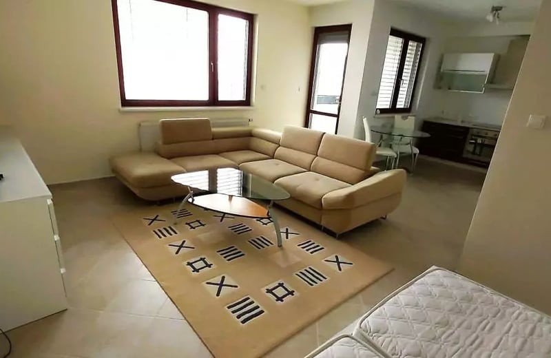 Долгосрочная аренда 1-комнатной квартиры 50 м², Братислава-Ружинов, район Братислава II, Словакия