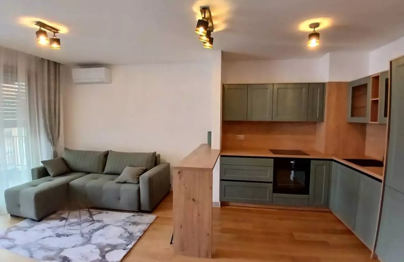 Langzeitmiete einer 2-Zimmer-Wohnung, 55 m², in Vračar, Belgrad, Serbien