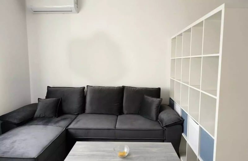 Alquiler a largo plazo de un estudio, 30 m², Nuevo Belgrado, Belgrado, Serbia