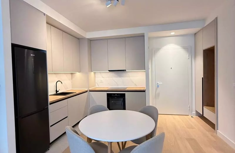 Alquiler de un espacioso apartamento de 2 habitaciones, 55 m², Belgrado, Serbia