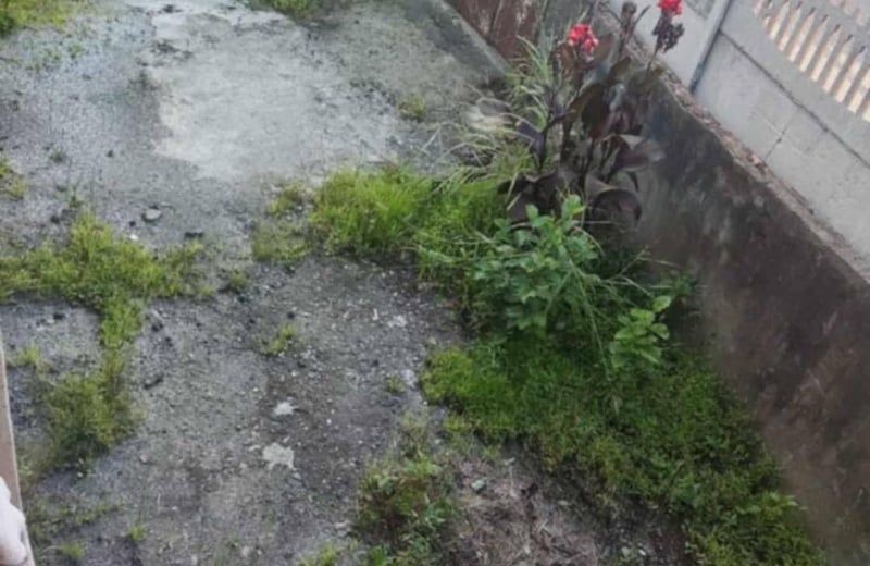 Аренда уютного и светлого дома 105 м² с собственным двором, Батуми, Грузия