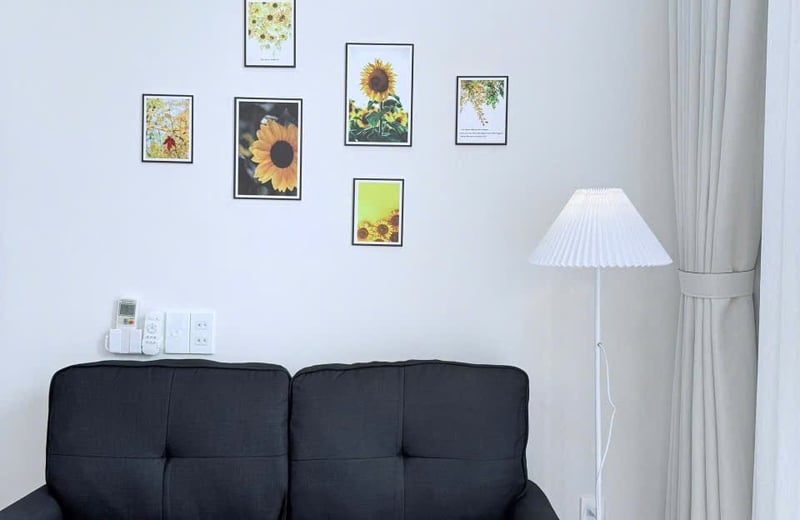 Furnished apartment for rent (Pet-friendly), Da Nang, Vietnam