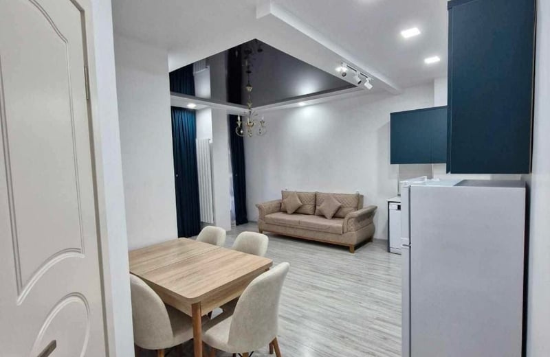 Modern, furnished apartment for rent, 55 m², Batumi, Georgia