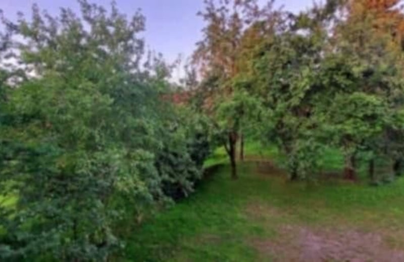 Spacious, cozy house for rent, 100 m², Batumi, Georgia