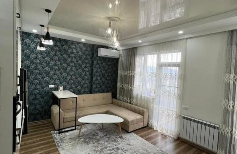 Bright Apartment with Sea and Mountain Views for Rent, Batumi, Georgia