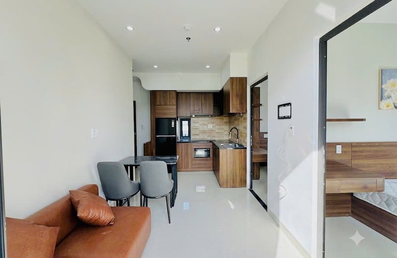 New apartment for rent with a park view, Son Tra, Da Nang, Vietnam