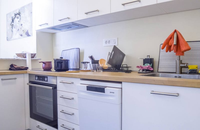Rent of a bright, cozy apartment, 47 m², Belgrade, Serbia