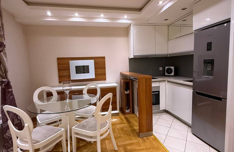 Bright Apartment 47m² for Rent in City Center, Belgrade, Serbia